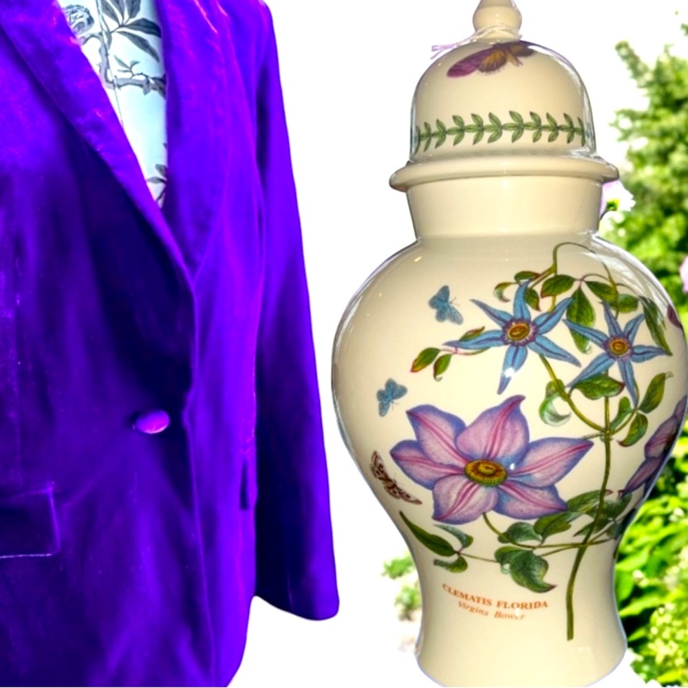 Botanic Gardens Clematis Ginger Jar Purple